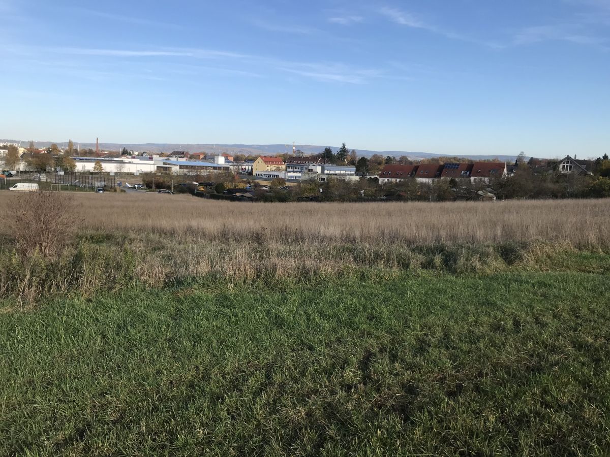 Wiesengrundstück im Stadtteil Glocke mit Bebauung im Hintergrund